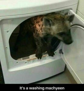 washing machyeen